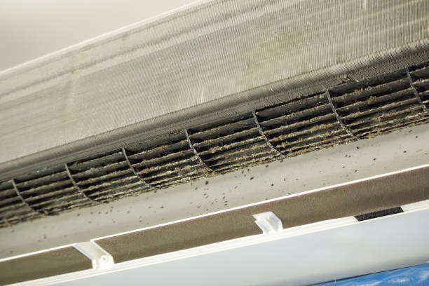 Best Duct Cleaning Specialists  in Doe Valley, KY